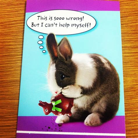 Hallmark Easter Card Buy It Easter Card Hallmark Rabbit Hilarious