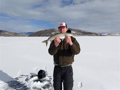 Ice Fish Winter Park 2022 Qué Saber Antes De Ir Lo Más Comentado