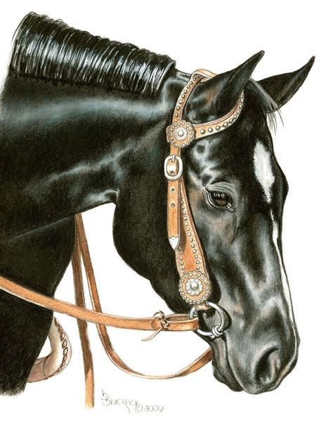 Black Quarter Horse Mare Portrait In Colored Pencil Etsy In 2020
