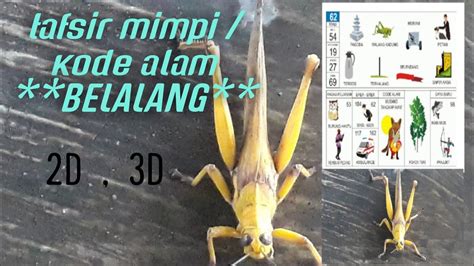 kode alam 57