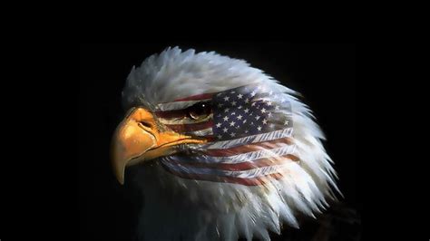 American Flag With Eagle Wallpaper Images