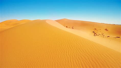 73 Desert Background