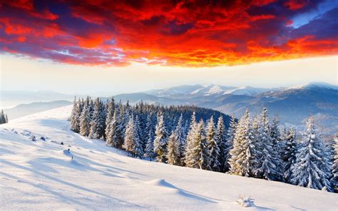 Landscapes Nature Winter Seasons Snow Trees Forests Mountains