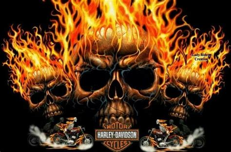 Cmgamm Skull Flame Harley Davidson Logo