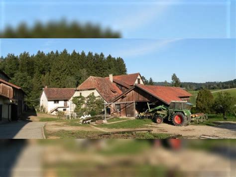 Ich würde gerne meine garten in pirna richtung rottwerndorf abgeben. Bauernhof, Pferdehof, Reitanlage, Bauernhaus, Gutshof zu ...