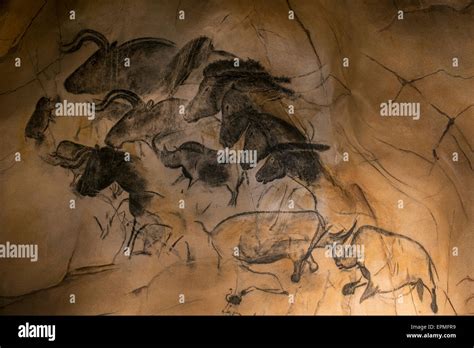 Replica Of Prehistoric Rock Paintings Of The Chauvet Cave Ardèche