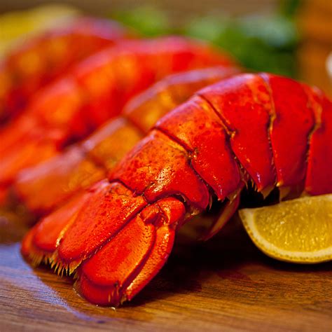 Maine Lobster Tails // 12 Pack (12 Pack // July 19 Delivery) - Black