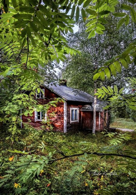 An Old Red House In The Woods Surrounded By Green Trees And Bushes With