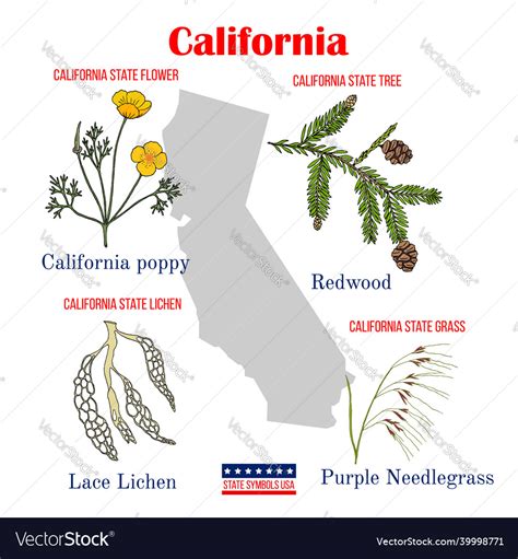 Californias State Symbols