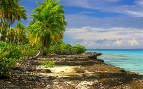 Nature Landscape Tropical Beach Sea Clouds Palm