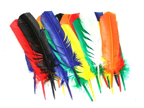 Assorted Indian Coloured Craft Feathers Pack Of 25 Art And Craft Factory