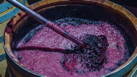 How Fermentation Techniques Can Affect The Taste And Texture Of Wine