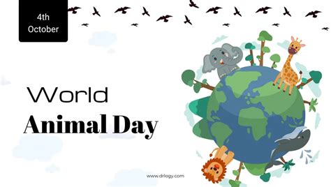 World Animal Day October 4 History Purpose And Importance Drlogy