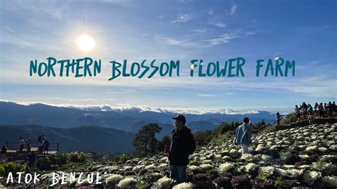 Northern Blossom Flower Farm Atok Benguet Atokbenguet Northernblossom