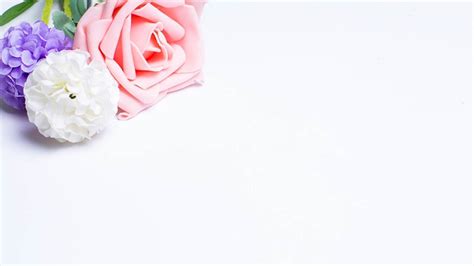 Color Rose Flower Slide Background Picturesbest Powerpoint Templates