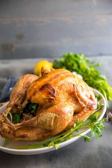 Tender tips made from turkey is a twist from the usual one. Greek Roasted Turkey Recipe- Tips On Roasting The Best ...