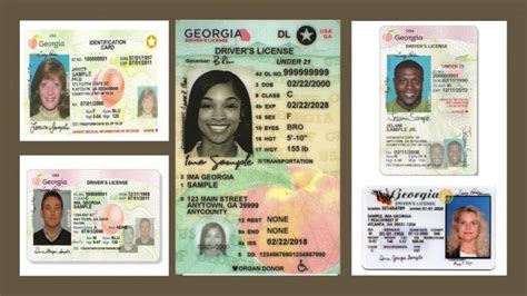 Georgia Drivers License Format Images And Photos Finder
