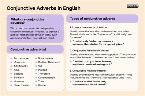 Conjunctive Adverbs In English Promova Grammar