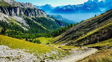 Alpine Forest Dolomite Mountains Free Photo On Pixabay