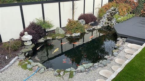 Beautiful Japanese Style Koi Pond In The Uk Youtube