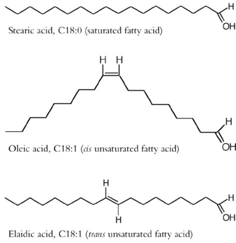 Trans Fatty Acid Diagram