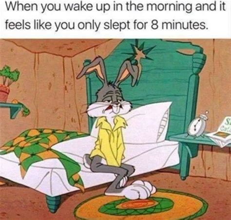 Pin By Tracy On Good Morning Good Night Looney Tunes Cartoons