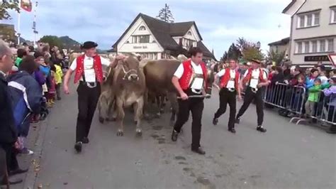 Viehschau Appenzell 2014 Youtube