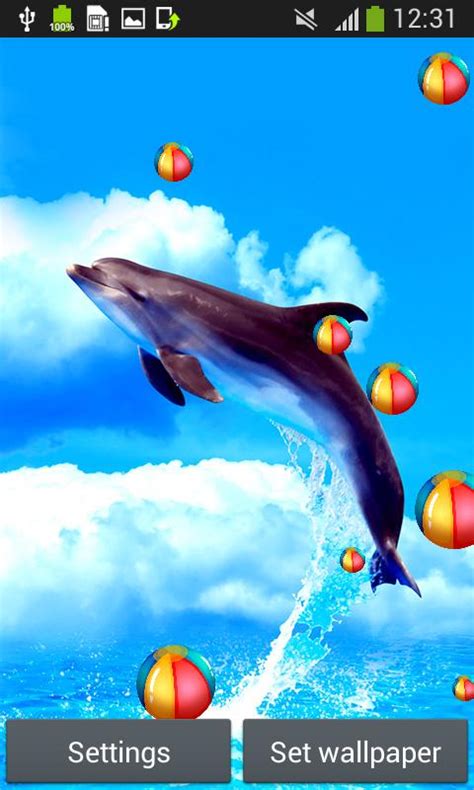 Dolphins Live Wallpapers Apk For Android Download