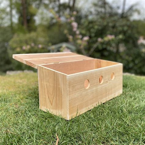 Sparrow Colony Wooden Nesting Box By Garden Selections