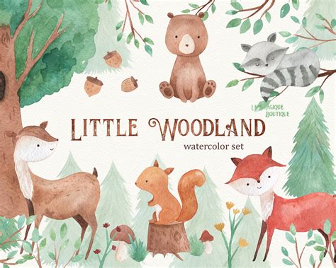 Woodland Animals Watercolor Clipart Pre Designed Photoshop Graphics