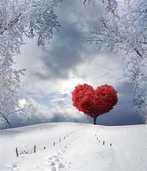 Winter Heart Wallpaper