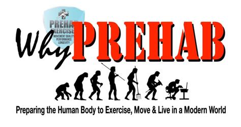 PreHab Exercises - Exercises to improve Movement Quality ...