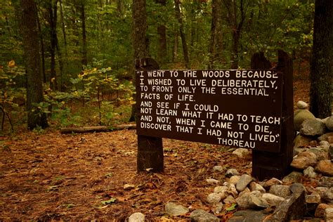 Filethoreaus Quote Near His Cabin Site Walden Pond