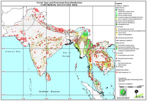 Continental South And South East Asian Forest Map