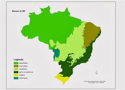 Biomas Inteiros São Devastados No Brasil Funverde
