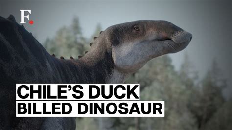 Duck Billed Dinosaur Remains Discovered In Chile Youtube