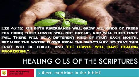 Holy Anointing Oils Of The Bible Youtube