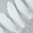 Goose Feathers 6 8 Loose Pallet WHITE White 