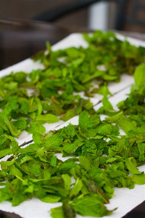 How To Dry Mint Leaves Az Cookbook