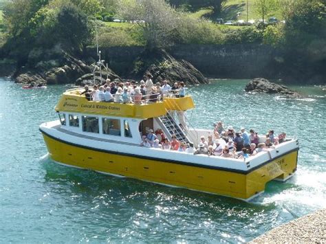 Ilfracombe Princess 2018 All You Need To Know Before You Go With
