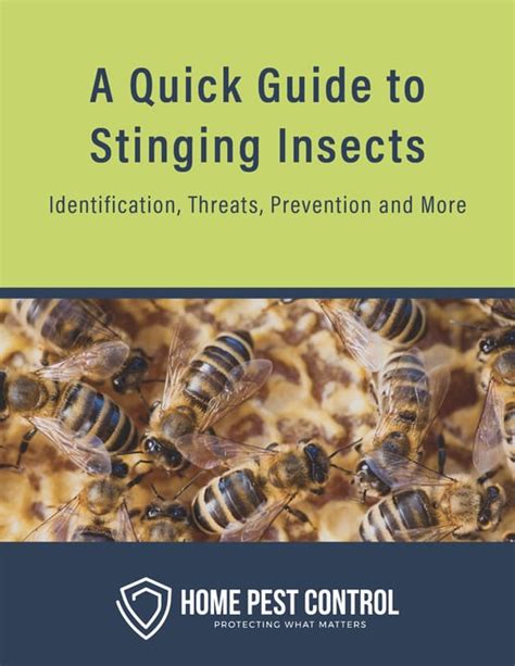 Stinging Insects Guide Free Download Home Pest Control