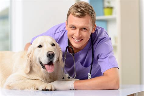 Here is a list of what to expect at your pet's first visit to help. What To Expect During A Puppy's First Vet Visit