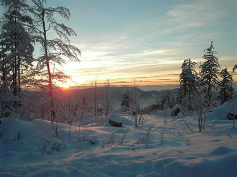 Black Forest Winter No1 By F0x0r On Deviantart