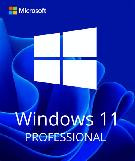 Windows 11 Pro Tech Services