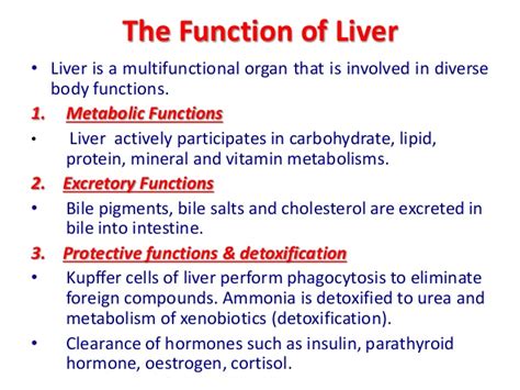 The liver has well over 500 functions and is known as the laboratory of the human body. Liver Function Test