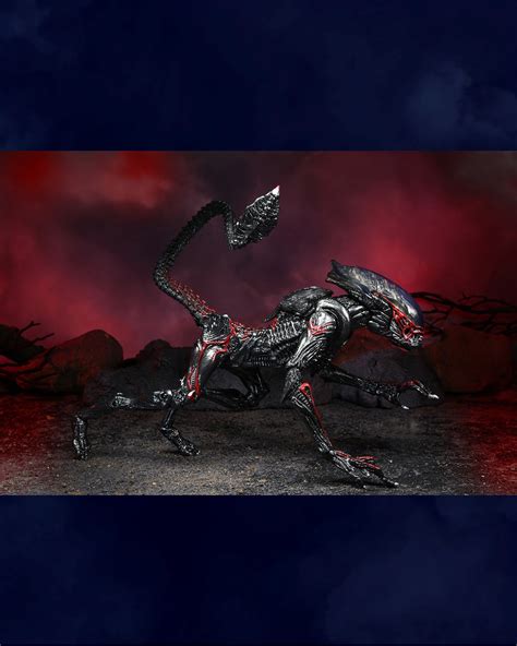 Aliens Kenner Tribute Panther Alien And Night Cougar Alien By Neca The Toyark News