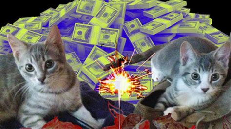 Have a good day with us. 50 Cat Puns About Rap - Noisey