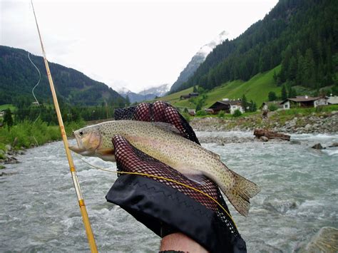 Best Time For Fishing In Austria 2024 Best Season Roveme