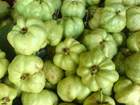 Free seedless guava 2 Stock Photo - FreeImages.com