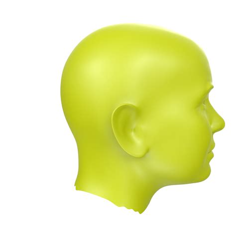 3d Rendering Of Human Bust 18065889 Png